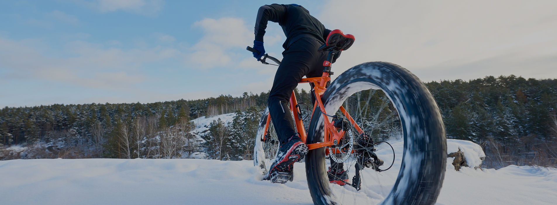 FAT BIKE TOUR IN GRAND TETON NATIONAL PARK