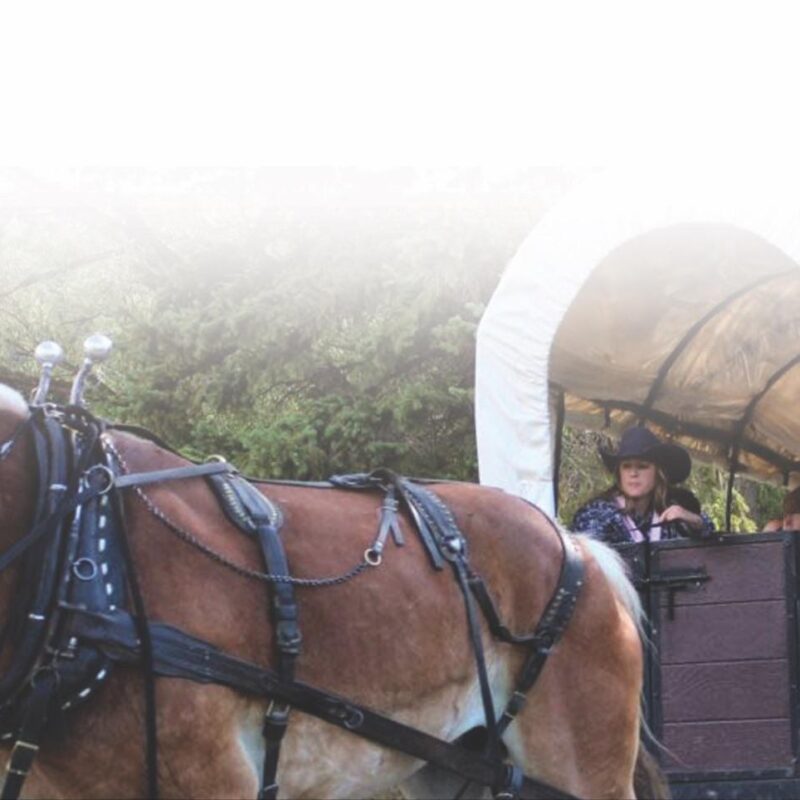 Chuckwagon