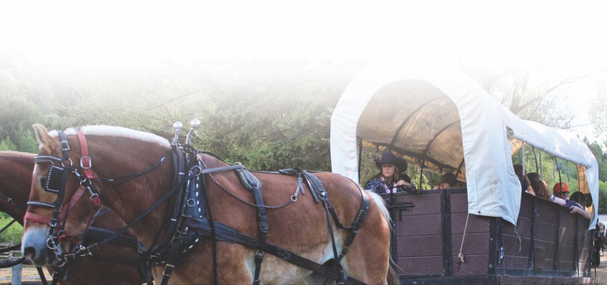 CHUCKWAGON