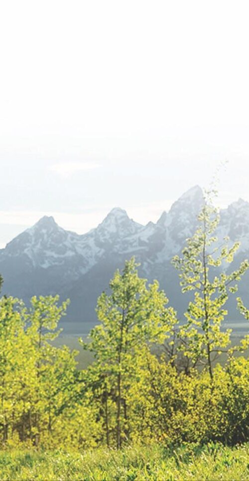 BIKE TOURS & RENTALS