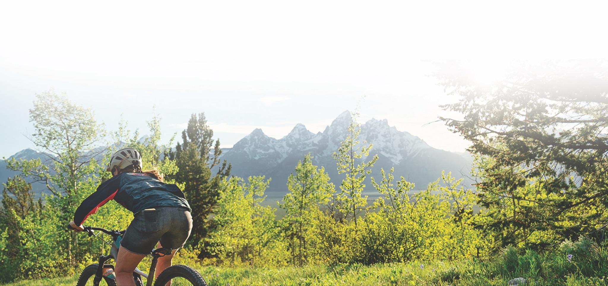 BIKE TOURS & RENTALS