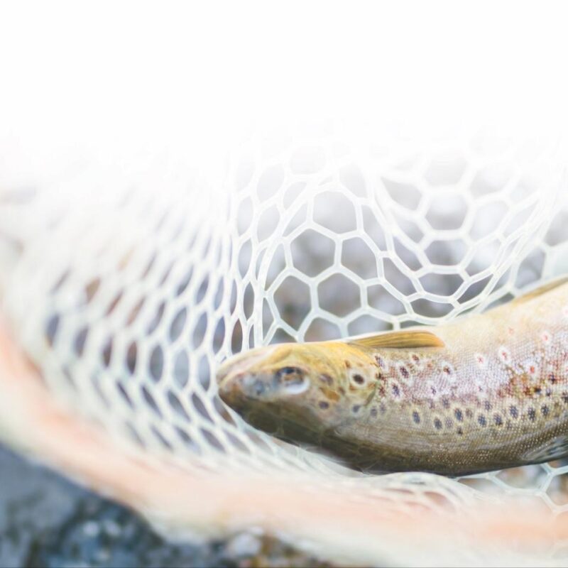 fly fishing