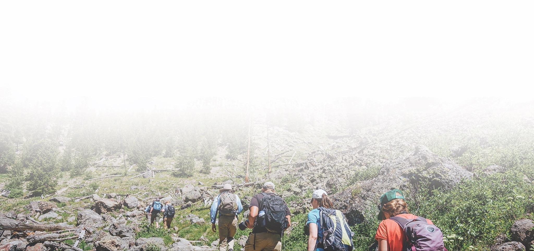 GUIDED HIKING