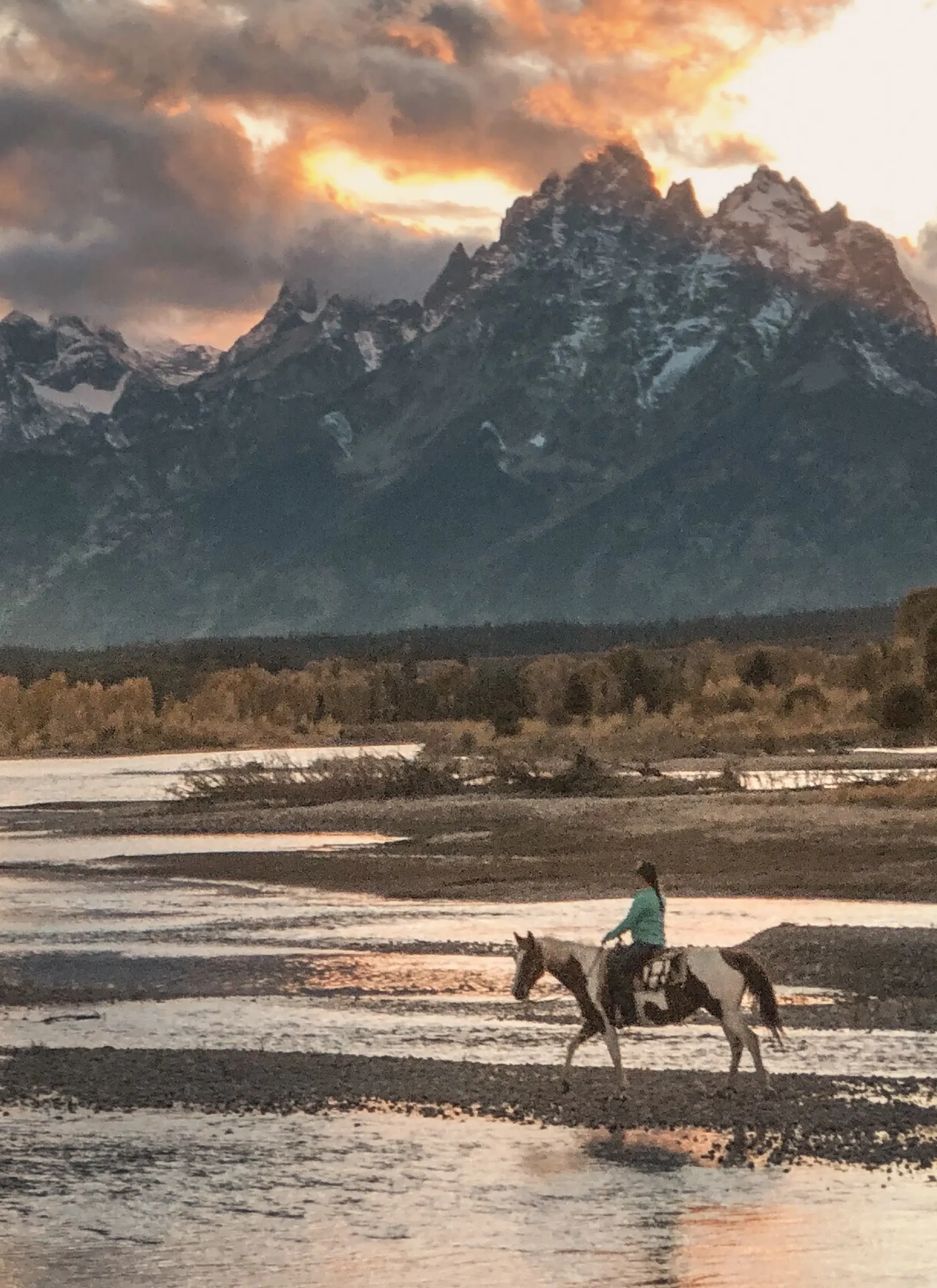 Hotel Jackson curated excursions to Grand Teton and Yellowstone